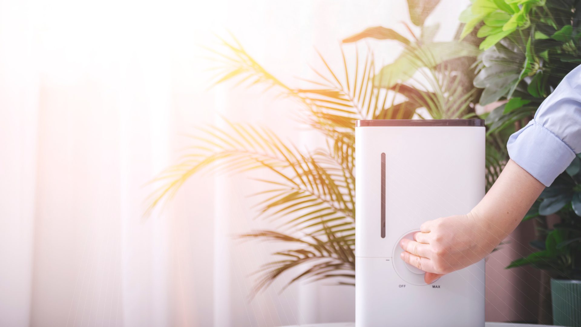 How to Keep Your Family Healthy by Improving Your Indoor Air Quality