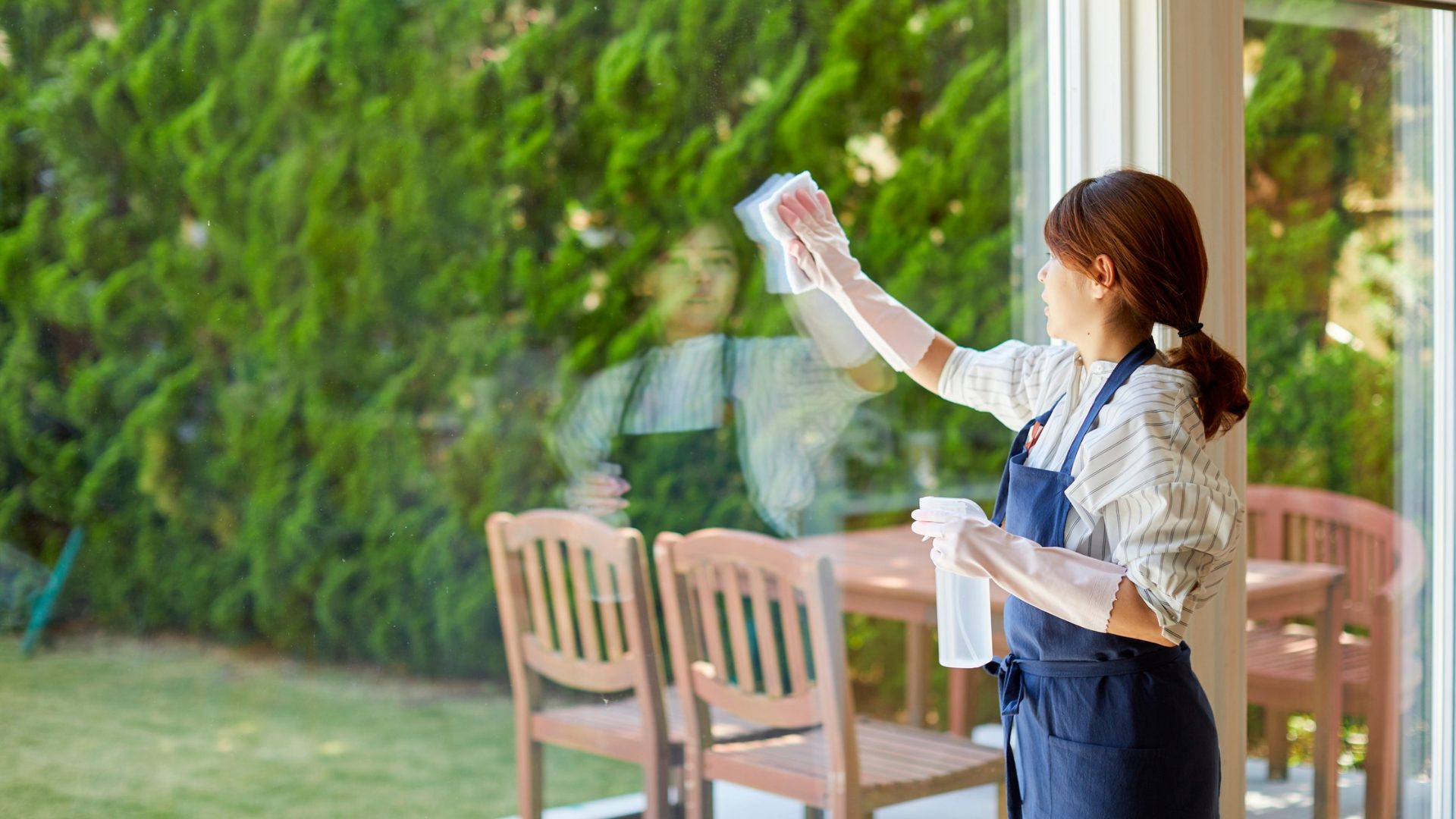 Why Do You Need To Hire A Professional Window Cleaner?