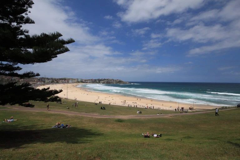 Bondi Beach Moving Guide by Hire A Mover