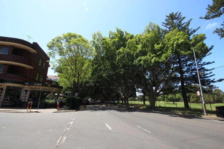 Rose Bay Moving Guide by Hire A Mover