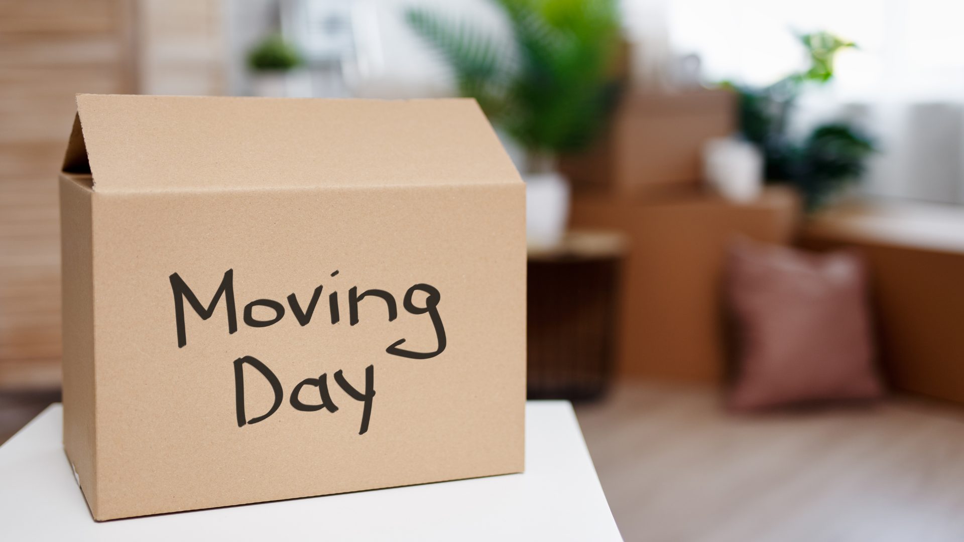 Your Moving Day Guide: Smooth Relocation in Sydney